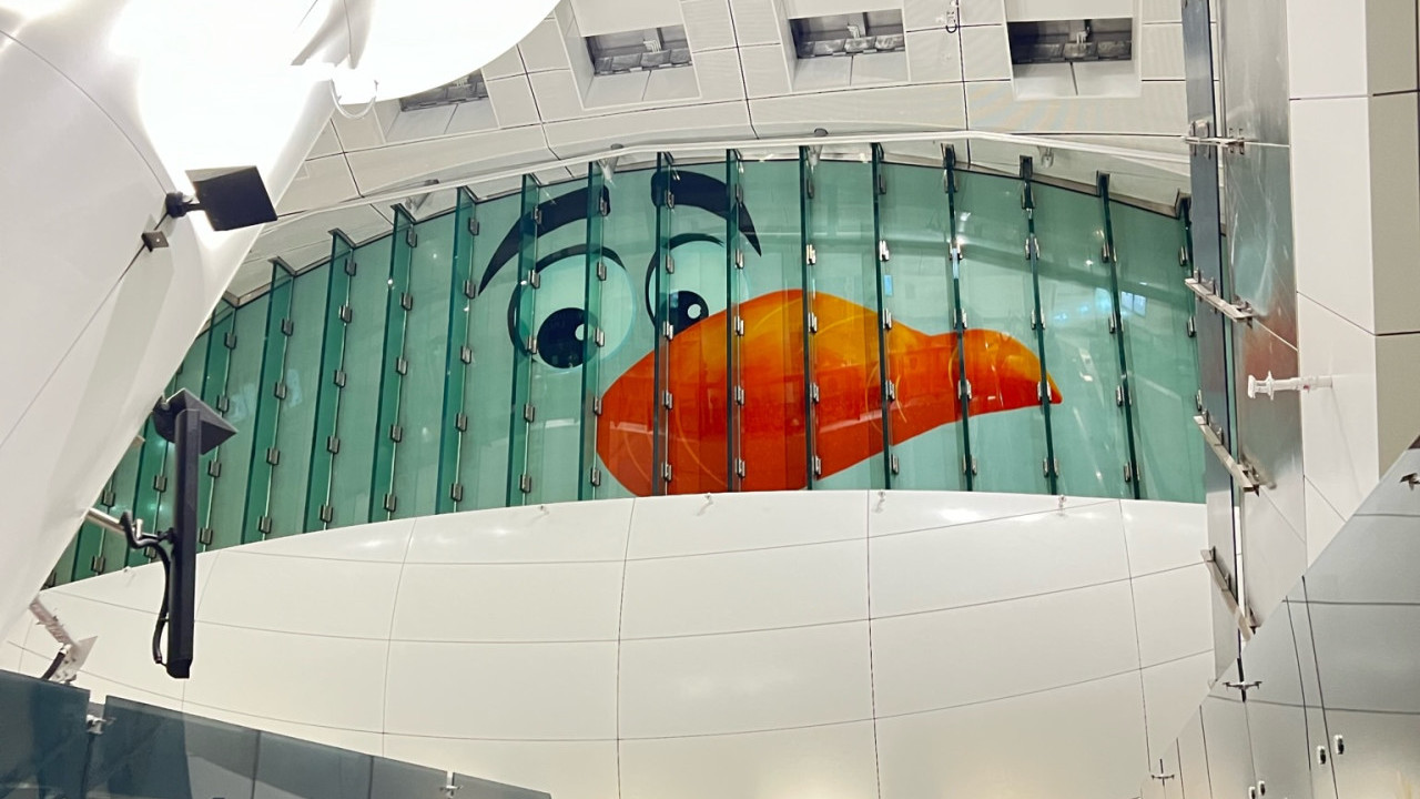 魔雪奇緣世界︱金鐘港鐵站巨型Olaf小白現身玻璃天窗 宣傳迪士尼新園區