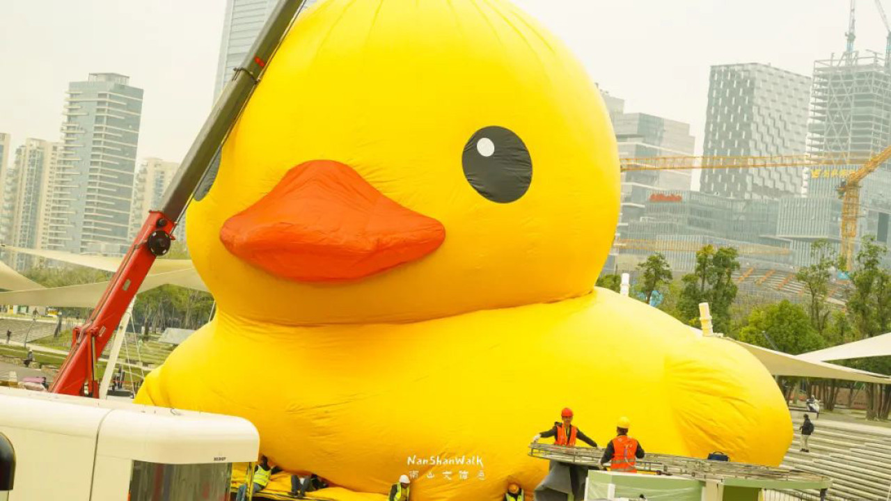 巨型大黃鴨12月20起登陸深圳灣  口岸地鐵直達！展覽為期1個月
