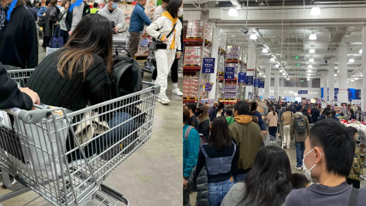 內地女呻香港人蜂擁山姆超市 被2大恐怖行為嚇到想喊