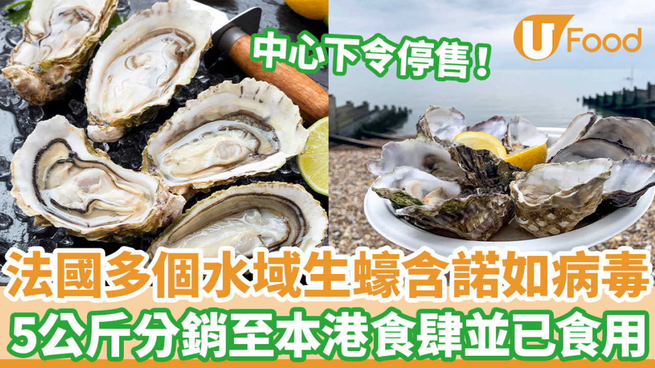 法國多個水域生蠔含諾如病毒 5公斤曾分銷至本港食肆及食用／中心下令停售