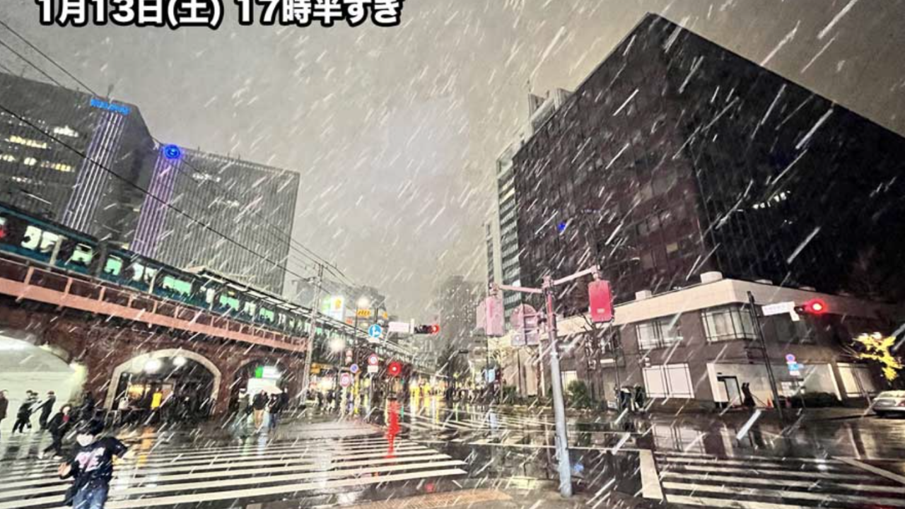 東京迎來2024初雪 比正常晚10天！遊日人士留意1情況