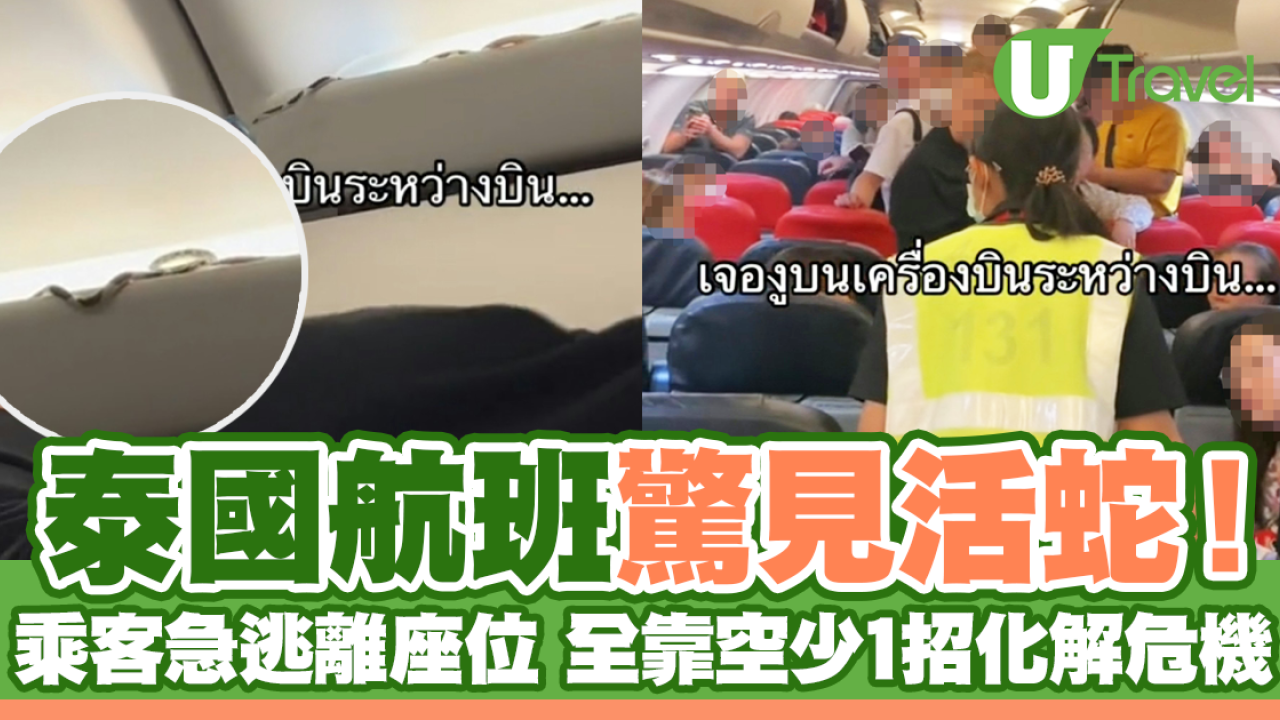 泰國航班驚見活蛇！乘客急逃離座位 全靠空少1招化解危機