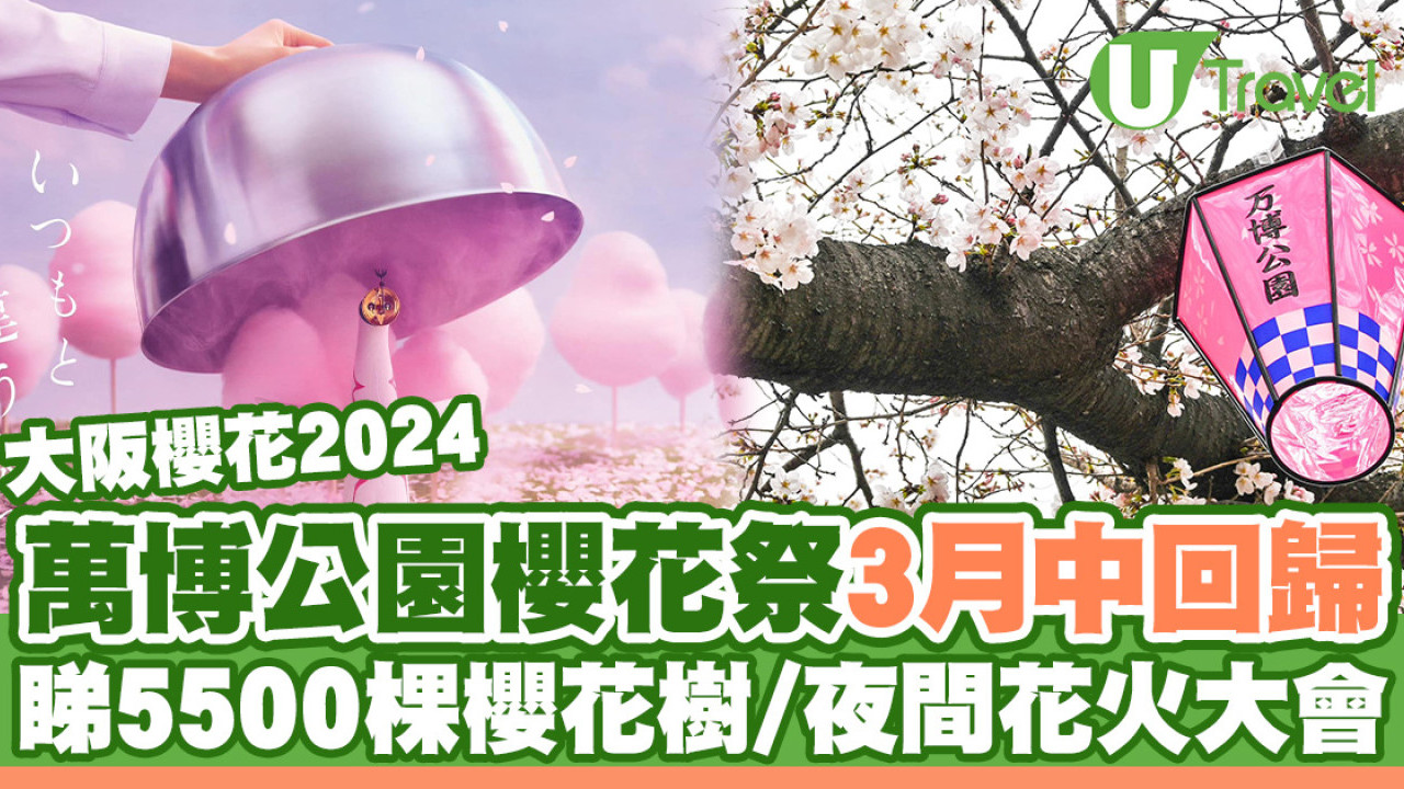 大阪萬博公園櫻花祭3月中回歸 欣賞5500棵櫻花樹+夜間花火大會