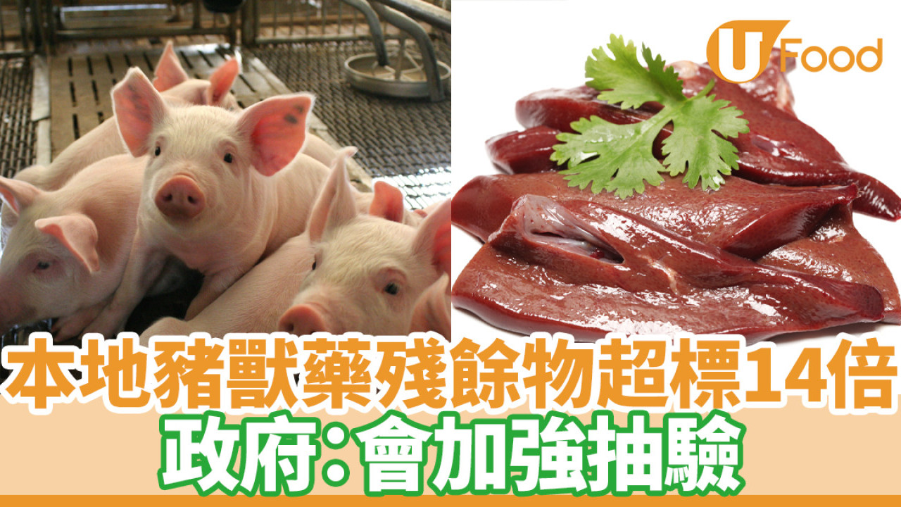 食物安全｜香港本地豬獸藥殘餘物超法例標準14倍！政府：會加強抽驗