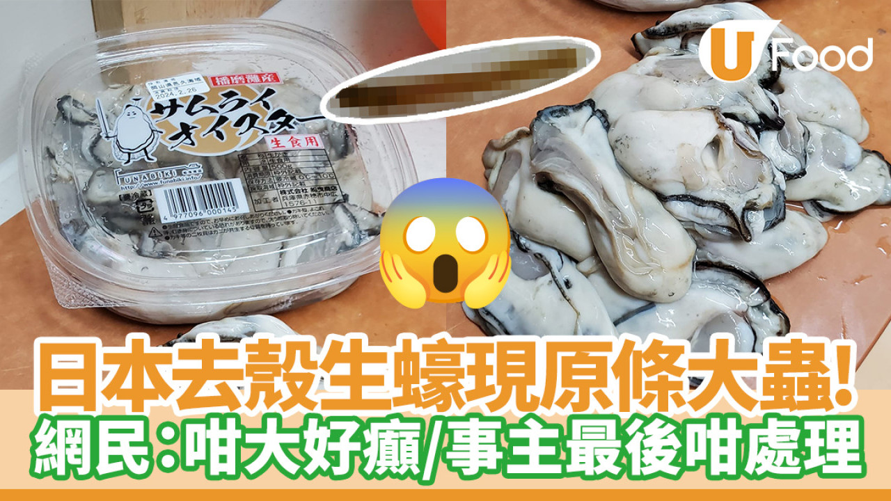 生蠔有蟲｜日本去殼生蠔現原條沙蟲！  網民：咁大好癲