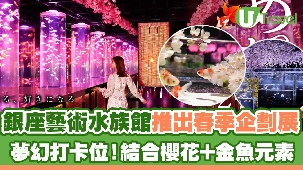東京銀座藝術水族館推出春季企劃展 夢幻打卡位！結合櫻花+金魚元素