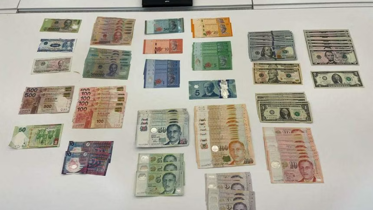 香港飛新加坡航班驚現飛機老鼠 男子偷約62萬港幣被捕落網 