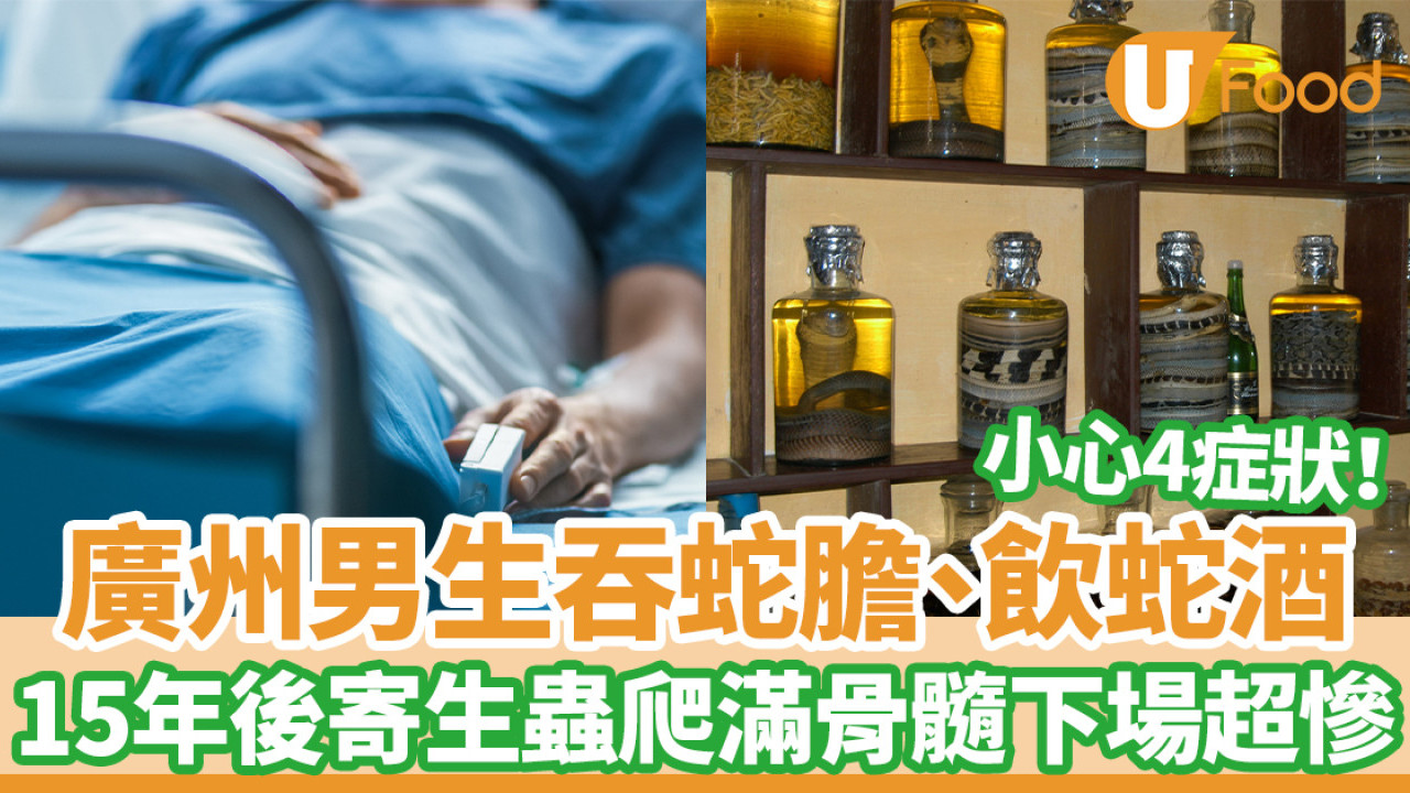 廣州男生吞蛇膽飲蛇酒 15年後寄生蟲爬滿骨髓險癱瘓／小心4症狀
