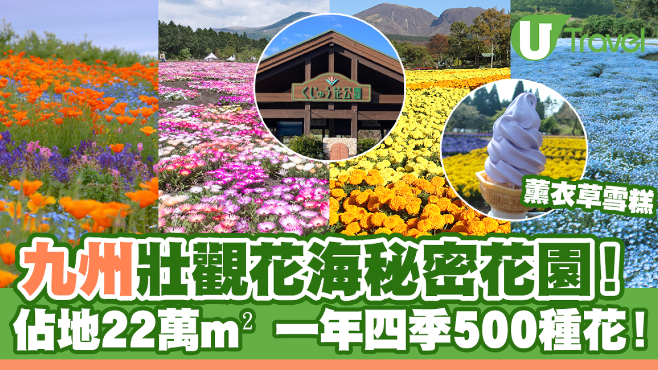 九州22萬m²壯觀花海秘密花園！一年四季500種花 薰衣草雪糕