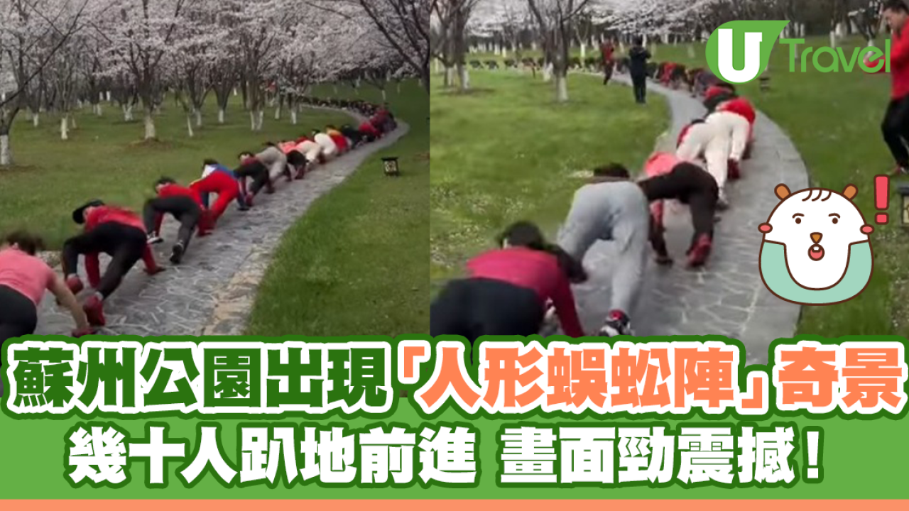 蘇州公園出現「人形蜈蚣陣」奇景 幾十人趴地前進 畫面勁震撼！