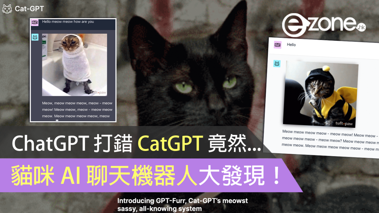 ChatGPT 打錯 CatGPT 竟然... 貓咪 AI 聊天機器人大發現！