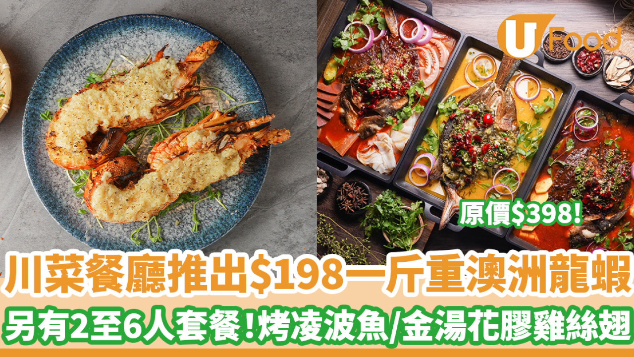 川菜餐廳推出$198一斤重澳洲龍蝦　另有2至6人套餐！烤凌波魚／金湯花膠雞絲翅／辣酒東風螺