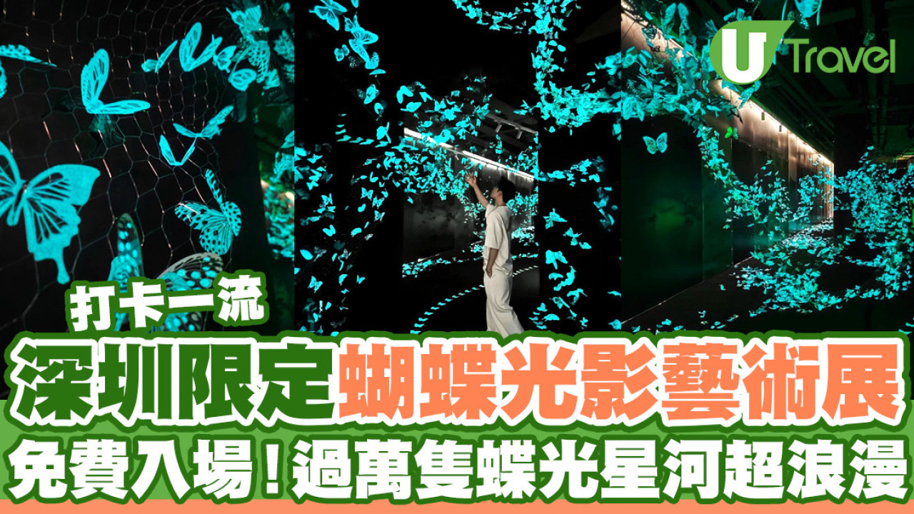 深圳期間限定蝴蝶光影藝術展  免費入場！過萬隻蝶光星河超浪漫