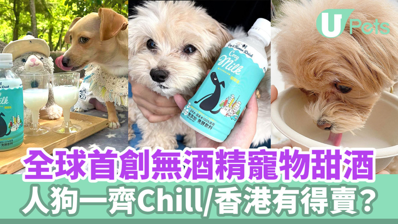 日本品牌首創無酒精寵物甜酒｜人狗一齊啤一啤／香港有售？