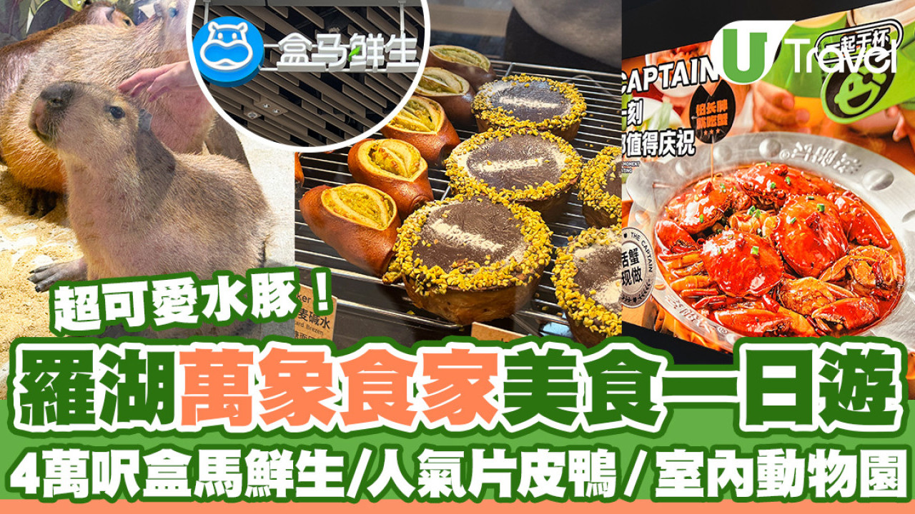 深圳羅湖萬象食家餐廳美食一日遊！人氣片皮鴨／室內動物園／盒馬鮮生