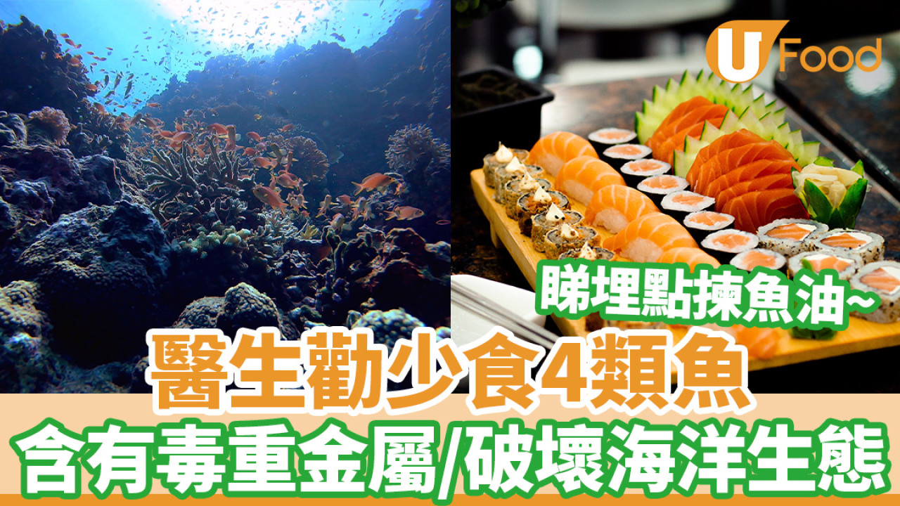 醫生教4類魚避免食用 含有毒重金屬危害神經系統／破壞海洋生態