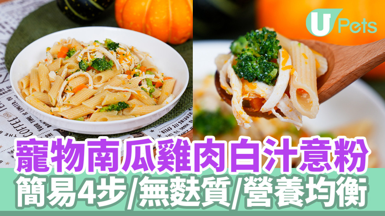 寵物南瓜雞肉白汁意粉｜寵物鮮食食譜／簡易4步／無麩質／營養均衡