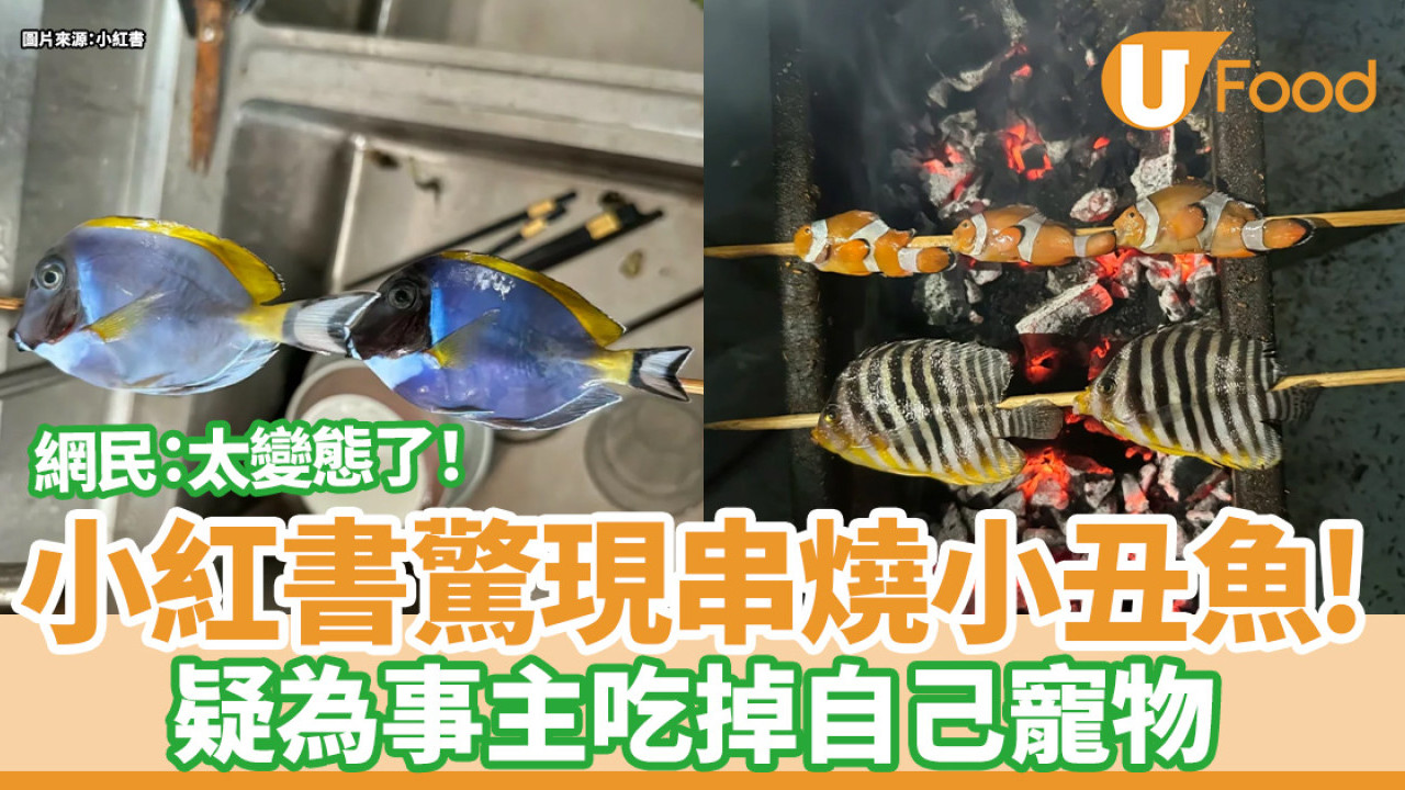 小紅書驚現串燒小丑魚！疑為事主吃掉自己寵物  網民：折福！太變態了！