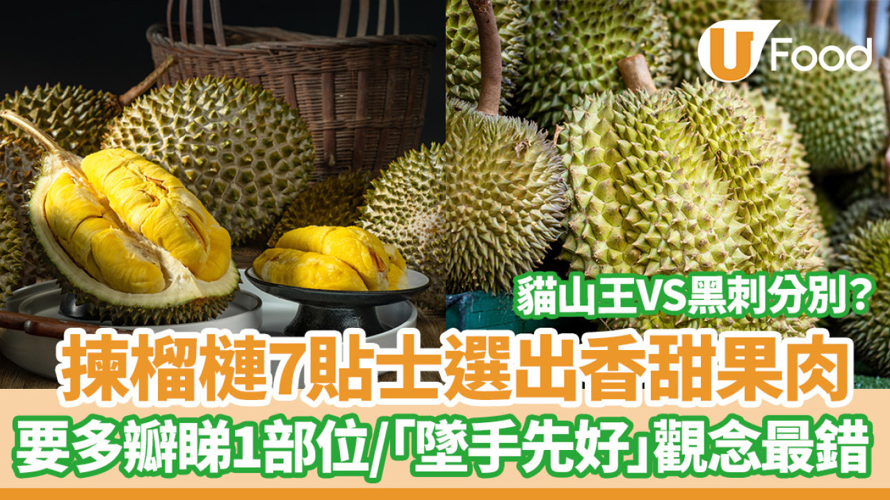 榴槤｜7招挑選香甜黃金果肉！要多瓣睇1部位／「墜手先好」觀念最錯／貓山王VS黑刺分別？
