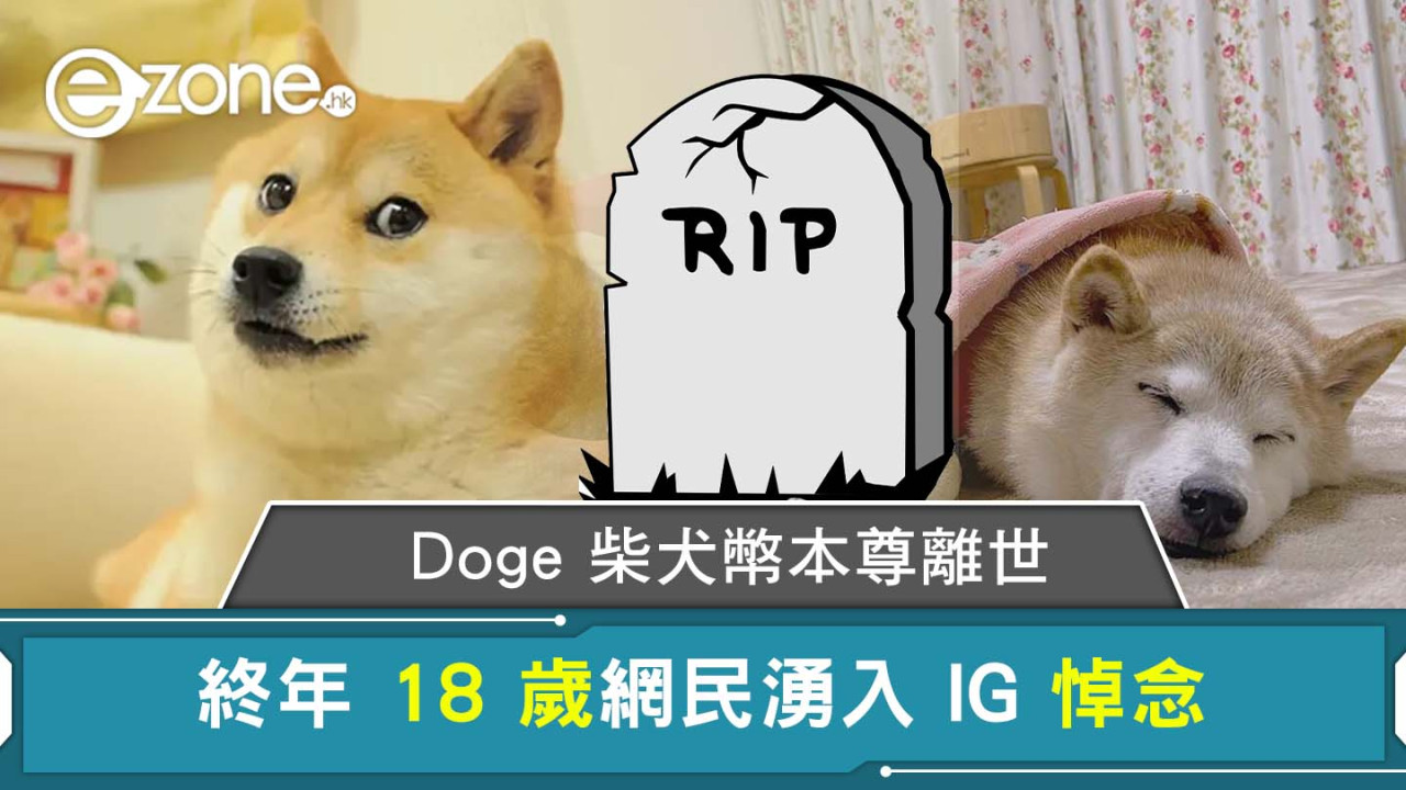 Doge 柴犬幣本尊離世 終年 18 歲網民湧入 IG 悼念