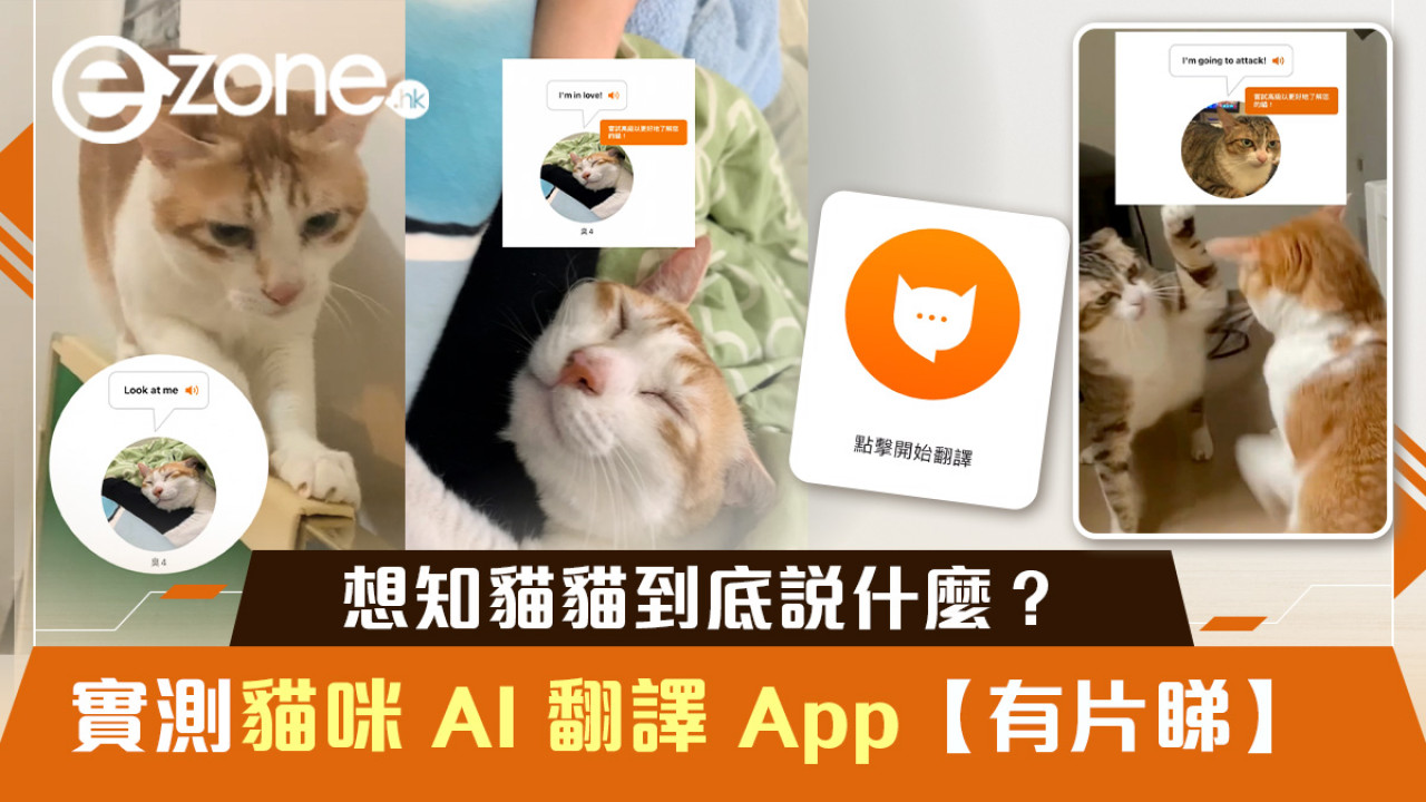 貓咪 AI 翻譯 App 實測｜貓貓到底說什麼？結果神準！【有片睇】