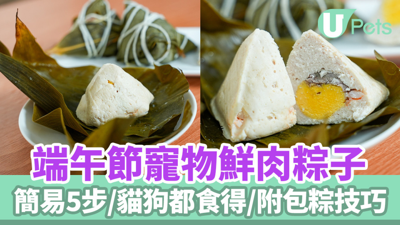 端午節寵物鮮肉粽子｜寵物鮮食食譜／貓狗都食得／附包粽技巧