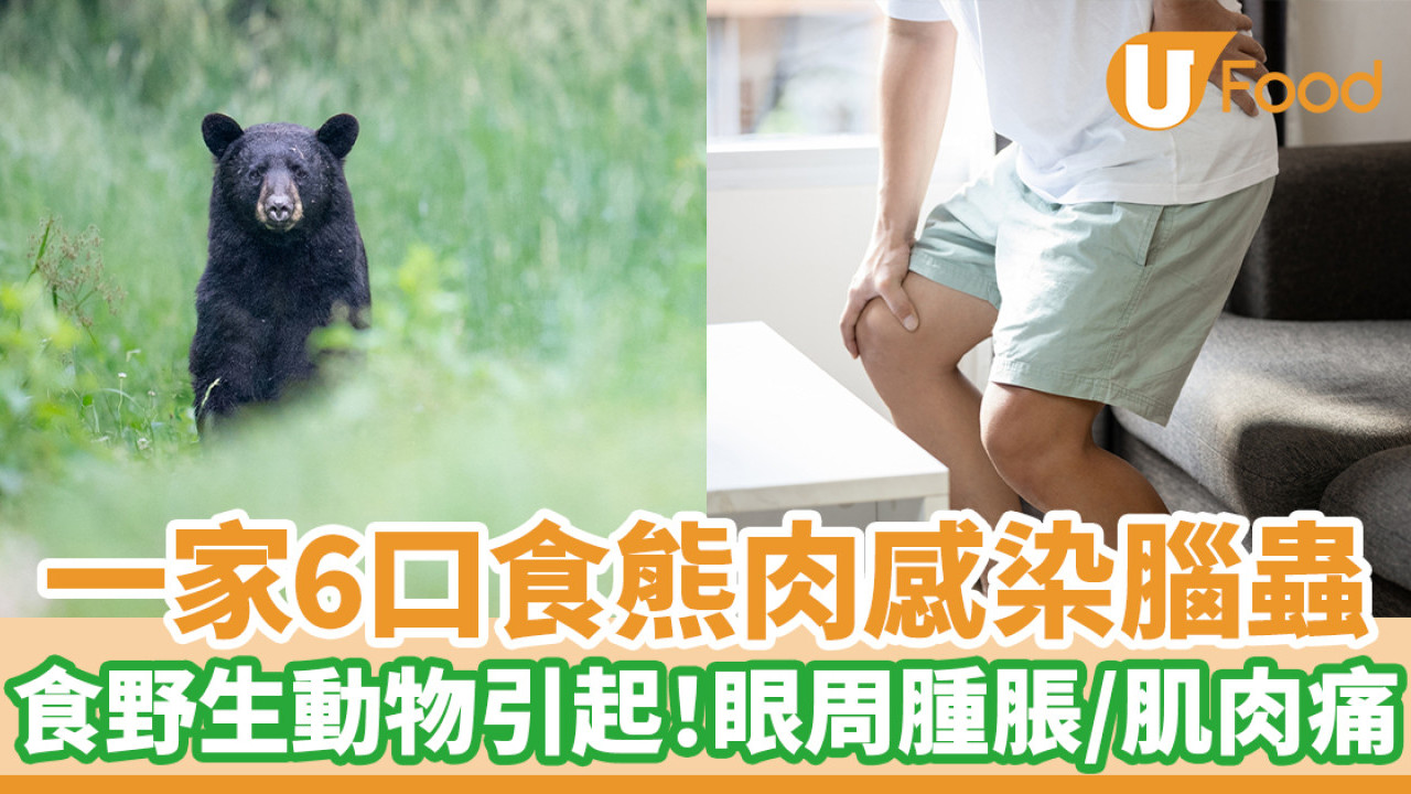 一家6口食熊肉感染腦蟲　食用野生動物引起！眼周腫脹／肌肉疼痛
