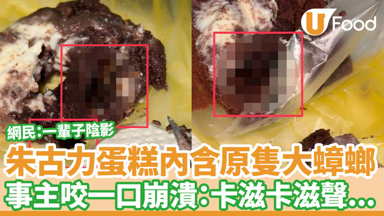 朱古力蛋糕內含原隻大蟑螂！事主已咬一口極崩潰：卡滋卡滋聲...／網民：有一輩子陰影