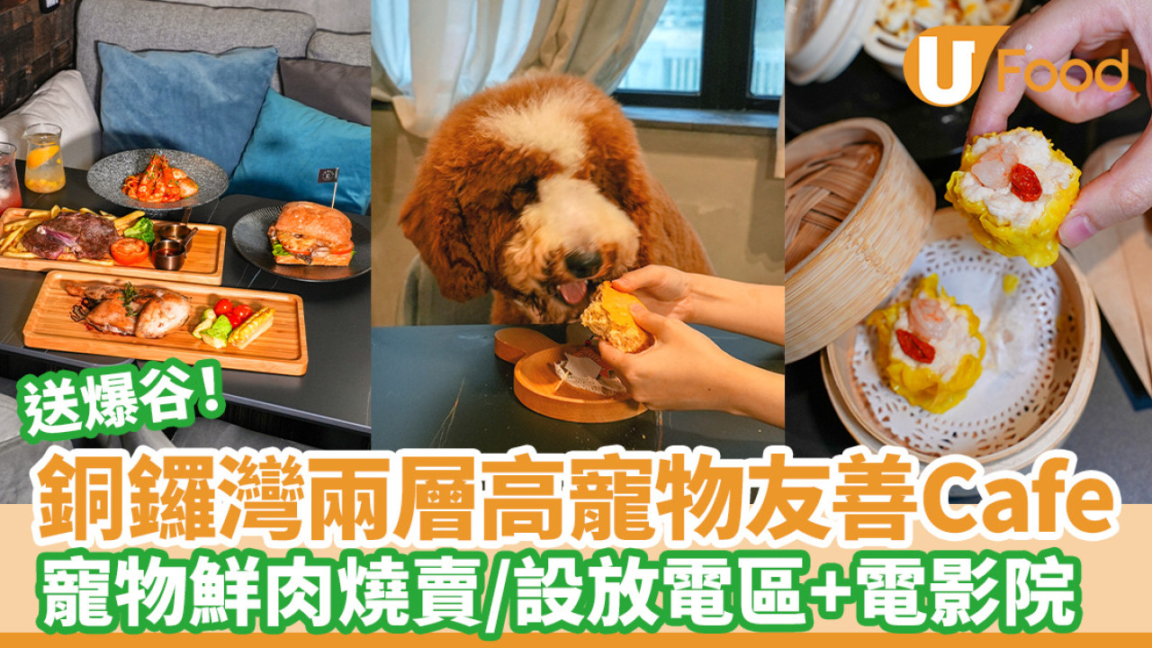 銅鑼灣兩層高寵物友善Cafe｜寵物鮮肉燒賣/設放電區+電影院