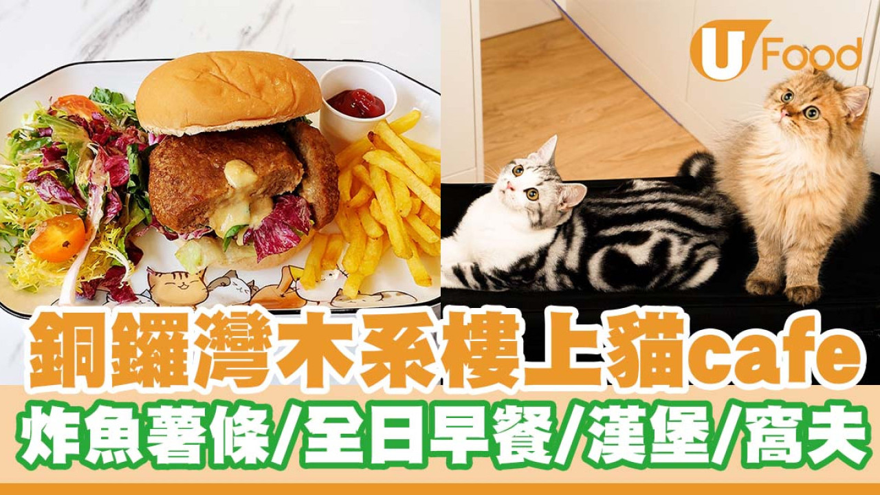 銅鑼灣打卡樓上貓cafe「Catio」  炸魚薯條／全日早餐／漢堡／窩夫／雞蛋仔