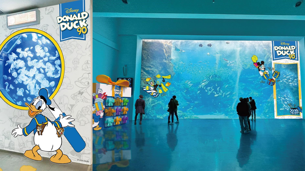 慶祝90週年｜唐老鴨7月登陸台灣水族館 10大夢幻打卡點+免費換唐老鴨精品