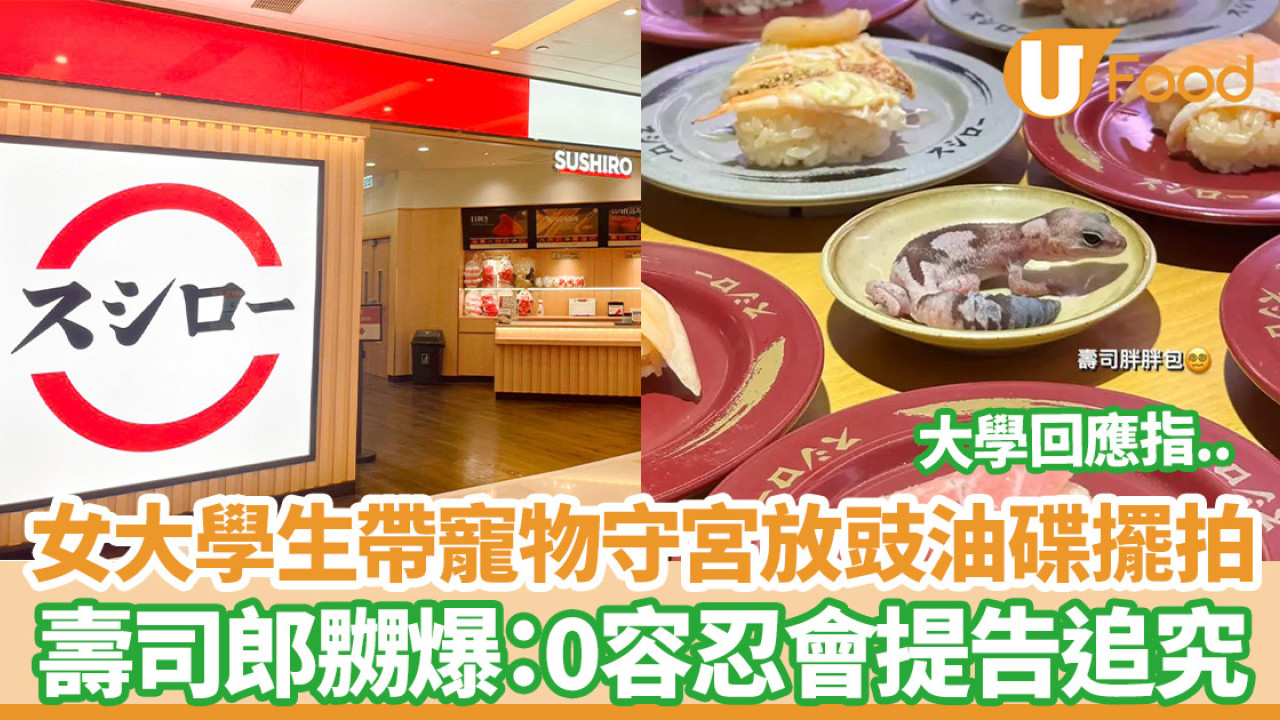 壽司郎｜女大學生帶寵物守宮放豉油碟擺拍  壽司郎嬲爆：零容忍會提告追究
