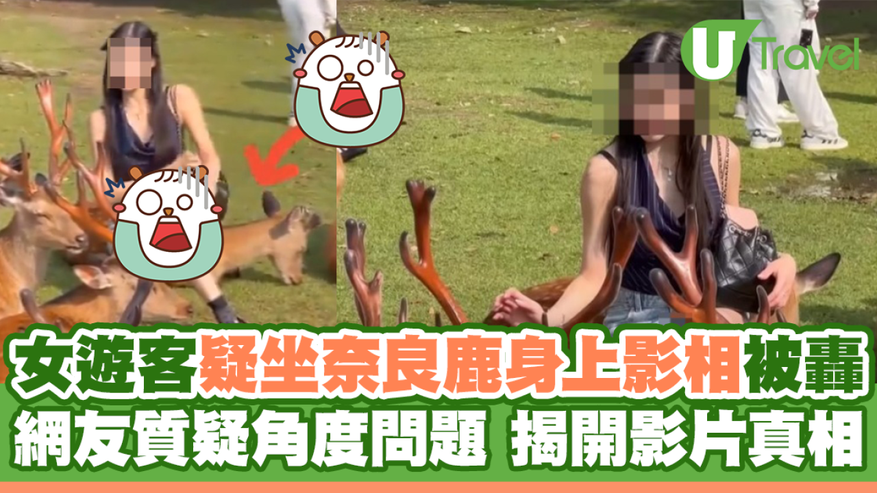 女遊客疑坐奈良鹿身上影相被轟 網友質疑角度問題 揭開影片真相