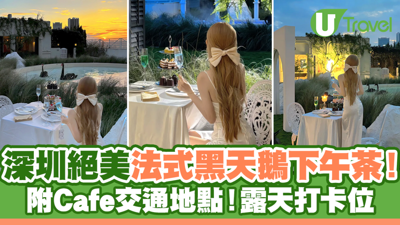 深圳Blue Concept關於藍Cafe！法式黑天鵝下午茶！