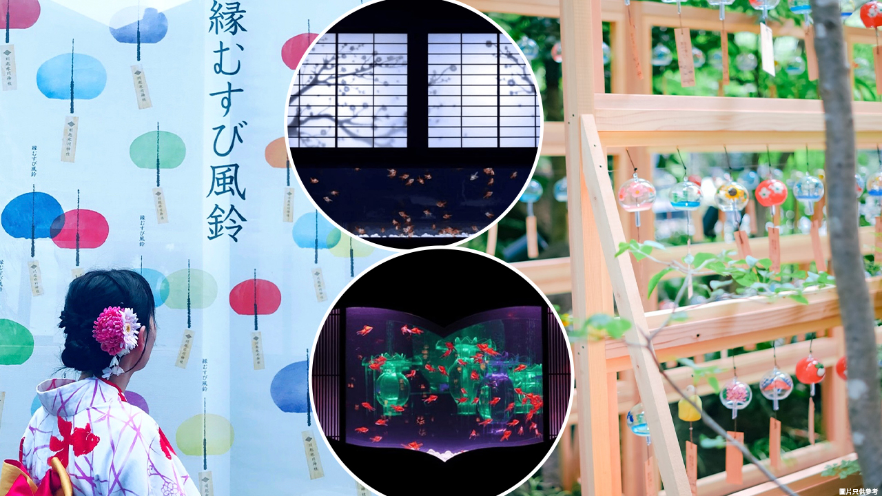 東京夏日限定打卡秘點 | 夏日風鈴祭／沉浸式金魚藝術館／浴衣打卡