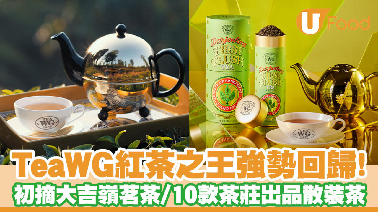 Tea WG紅茶之王回歸！印度初摘大吉嶺茗茶／10款茶莊出品散裝茶葉