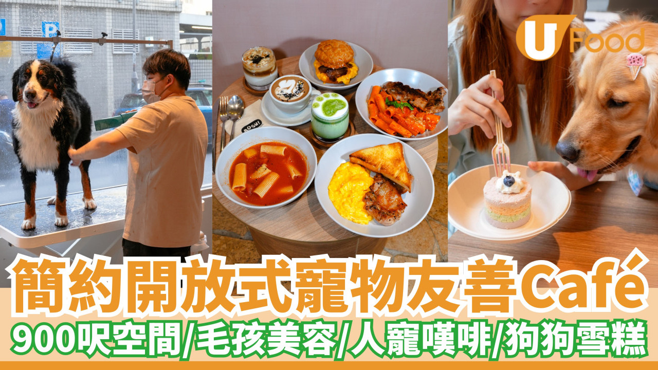 大坑開放式寵物友善Cafe｜ 寵物＋美容＋咖啡3合1