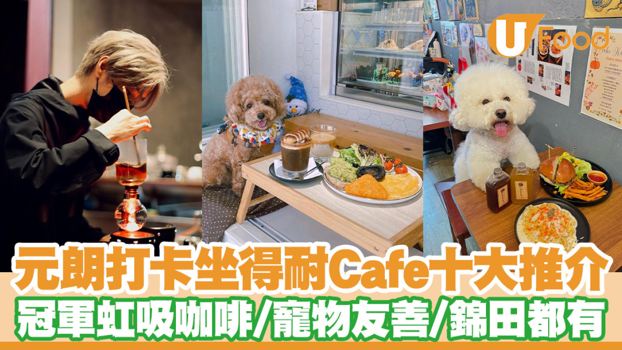 元朗Cafe推介｜逾10間打卡元朗Cafe！錦田坐得耐咖啡店／寵物友善