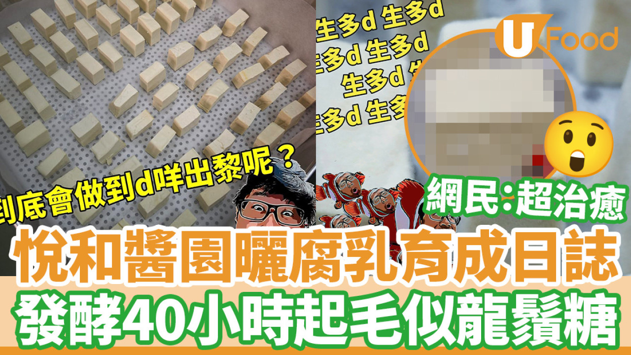 悅和醬園曬腐乳育成日誌 發酵40小時起毛似龍鬚糖 網民：超治癒