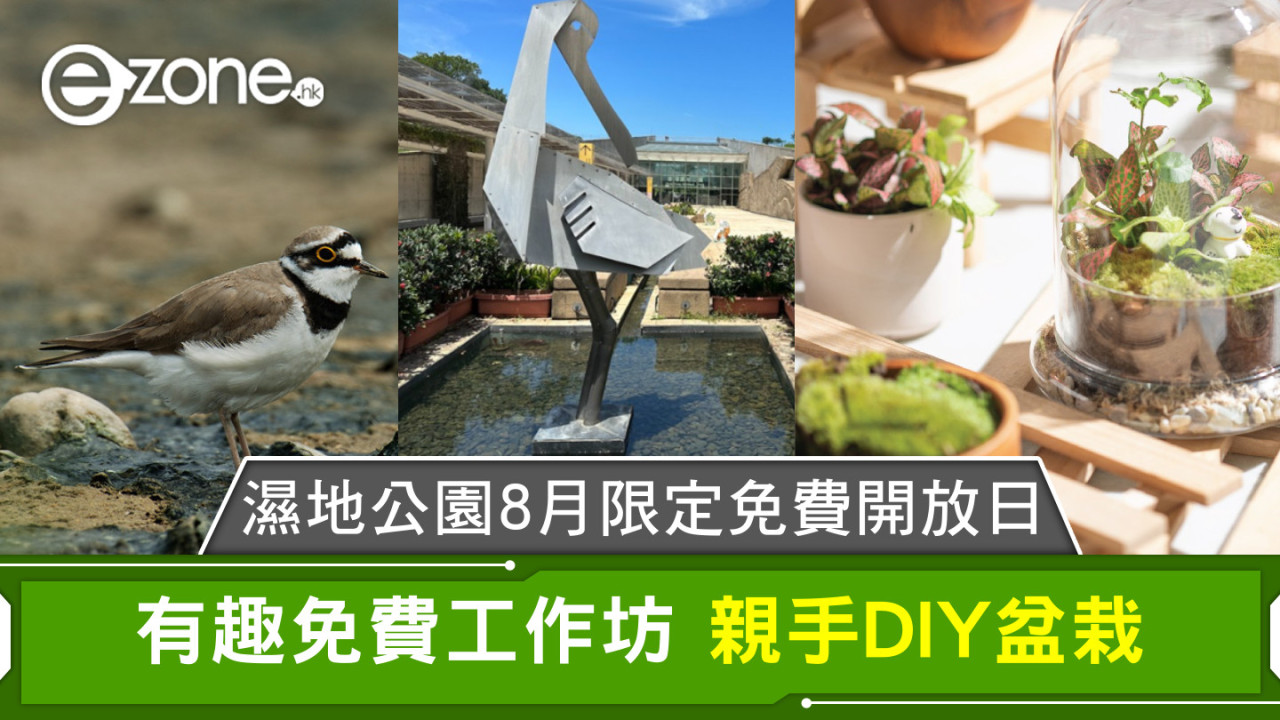 濕地公園8月限定免費開放日 有趣免費工作坊 親手DIY盆栽