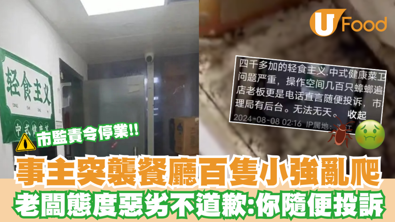 事主突襲店家餐廳百隻小強亂爬 老闆態度惡劣不道歉：你隨便投訴