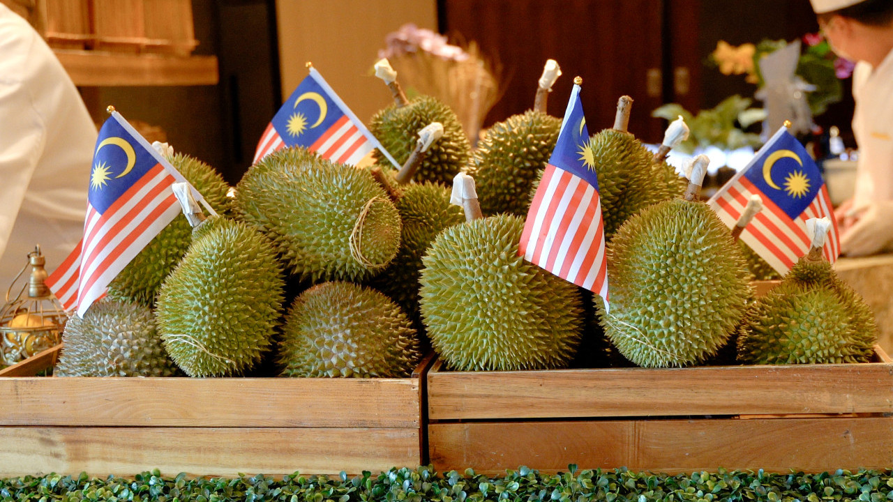 香港嘉里酒店榴槤自助餐回歸  任食甜品/龍蝦/Häagen-Dazs！限時買2送2優惠