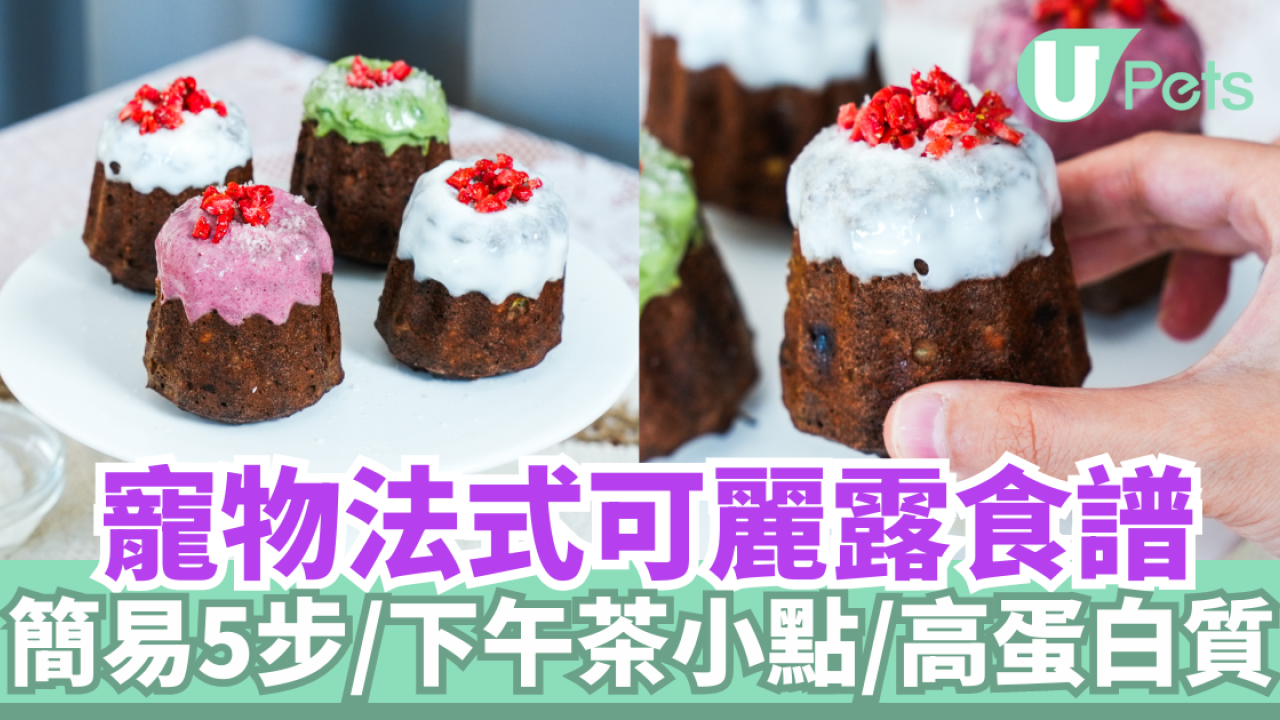 寵物法式可麗露｜寵物鮮食食譜／簡易5步／下午茶小點