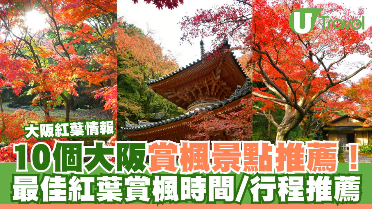 大阪紅葉情報2024｜10個大阪賞楓景點推薦！最佳紅葉賞楓時間/行程推薦