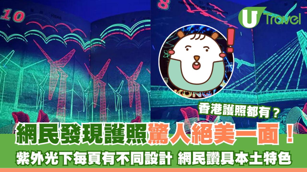 網民發現護照驚人絕美一面！紫外光下每頁都有不同設計 網民讚具本土特色