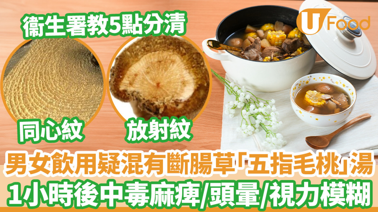 食物安全｜6旬男女誤飲混有斷腸草「五指毛桃」湯後中毒 1小時後麻痺視力模糊 衞生署教5點分清