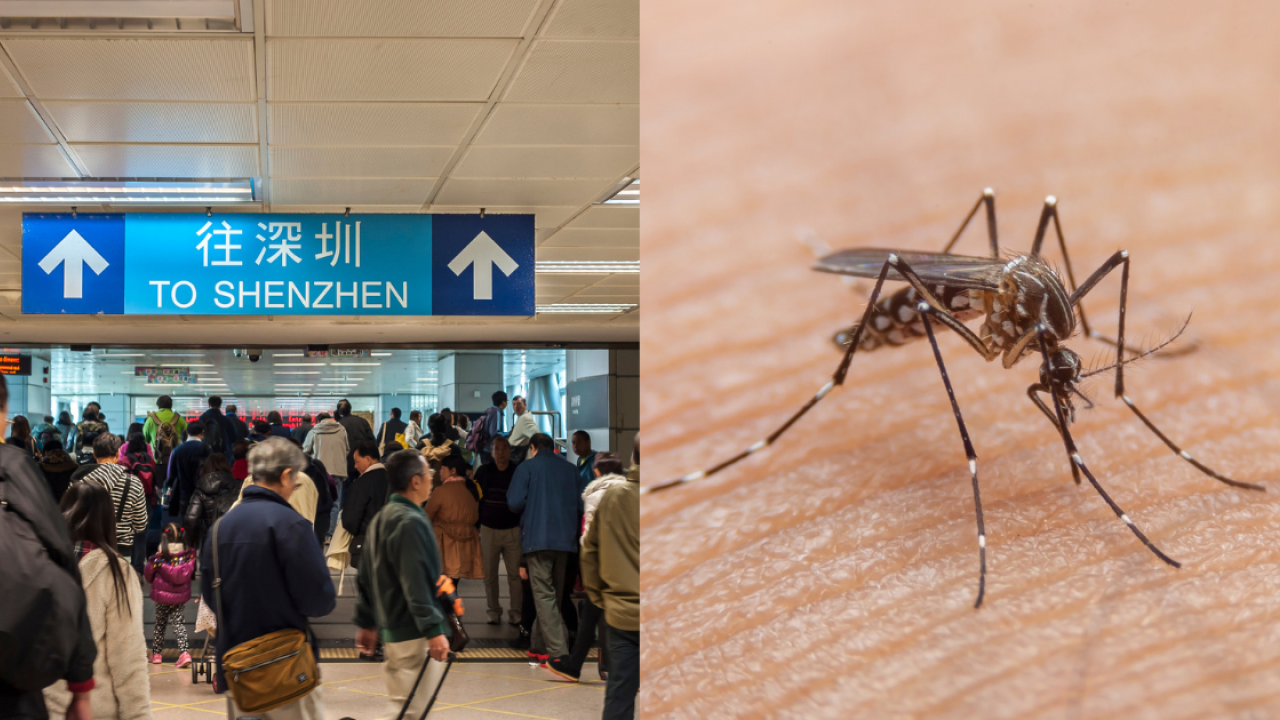 北上注意｜深圳登革熱疫情上升！呼籲市民國慶假期做好5點防範