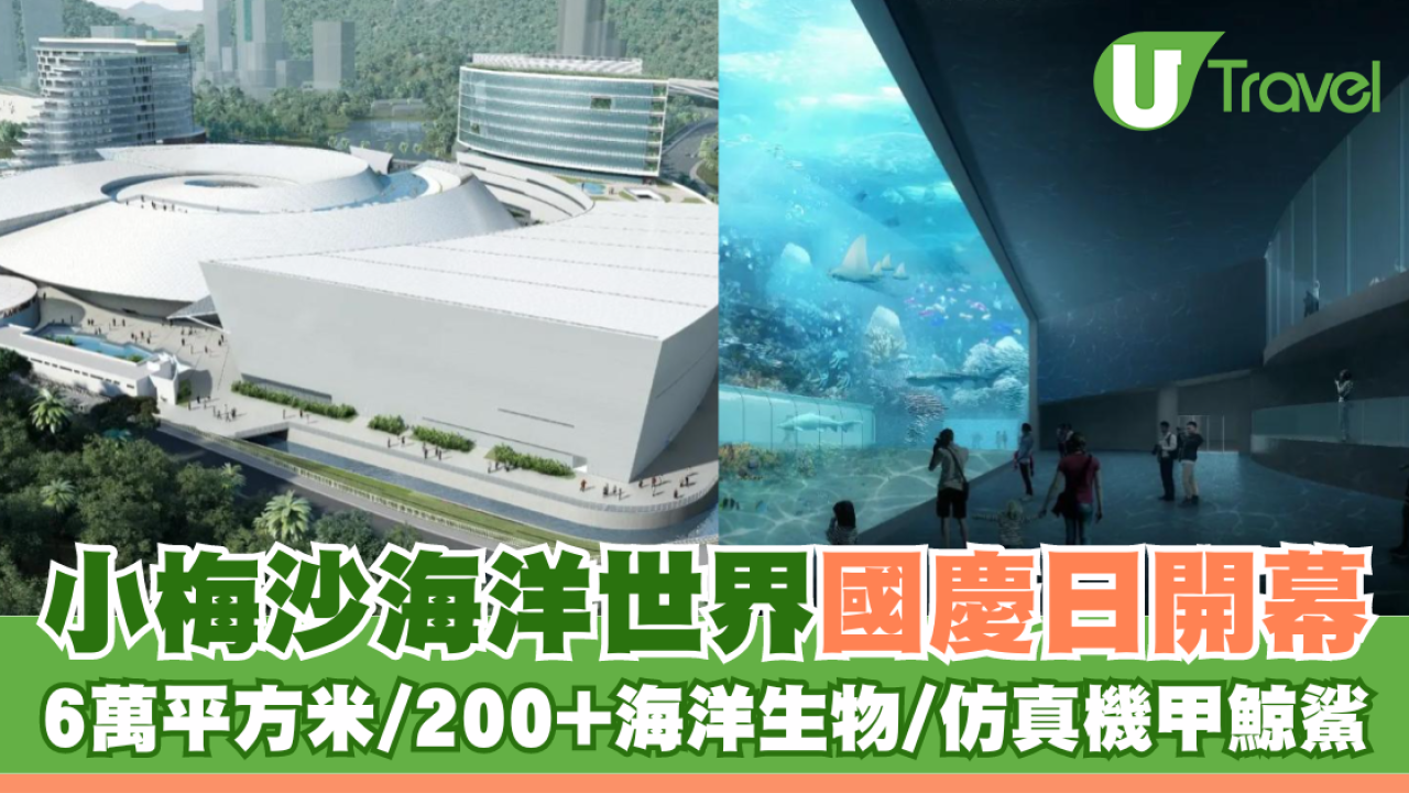 深圳小梅沙海洋世界國慶日開幕 6萬平方米/200+海洋生物/仿真機甲鯨鯊