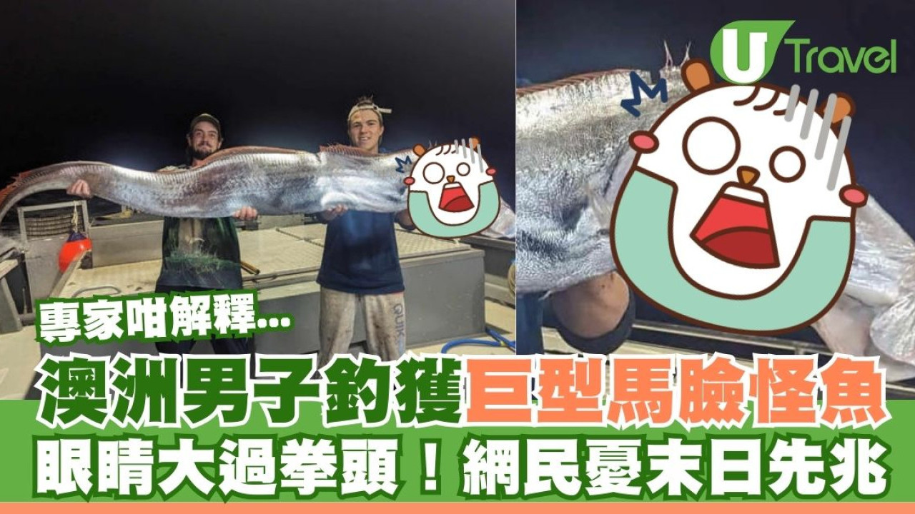 澳洲男子意外釣獲3米長巨型「馬臉」怪魚 網民憂天災末日先兆 專家咁解釋...