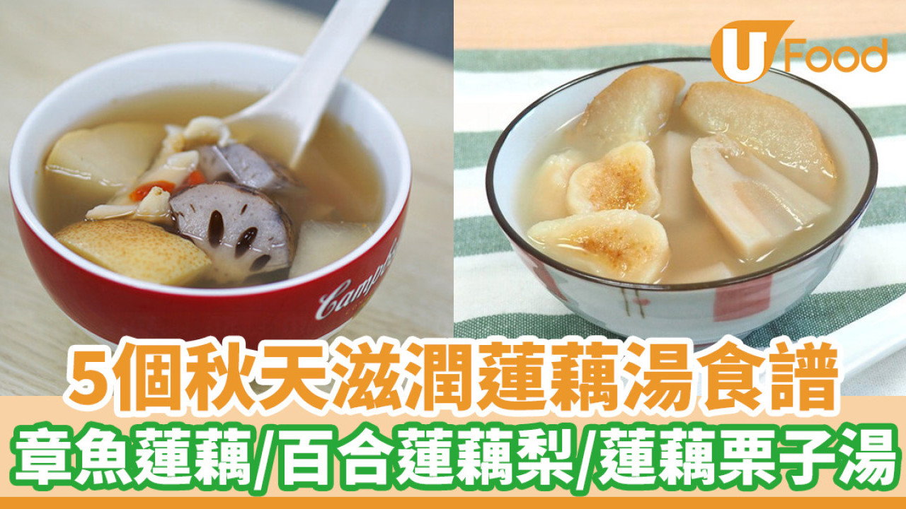 秋冬滋潤蓮藕湯食譜連功效  章魚蓮藕湯／百合蓮藕梨湯／栗子素蓮藕湯